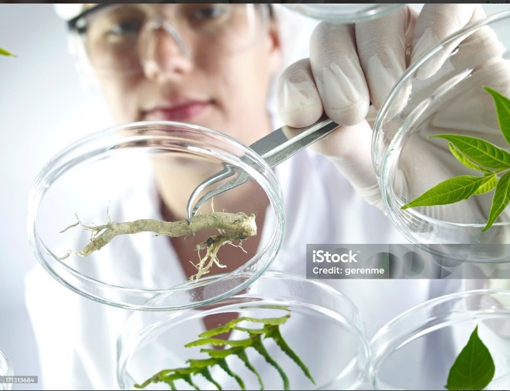 اختبار تحديد مستوى لطلبة الصف الثاني ثانوي لمادة الأحياء